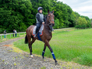 CH290522-37 - Charlie Hills Stable Visit